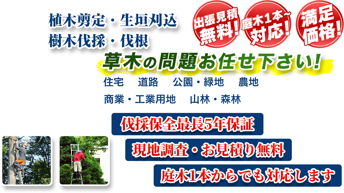 千葉エリア即対応!! 出張無料! 庭木1本~対応! 満足価格! 植木剪定・生垣刈込 樹木伐採・伐根 草木の問題お任せ下さい! 住宅 道路 公園・緑地 農地 商業・工業用他 山林・森林 伐採保全最長5年保証 現地調査・お見積り無料 庭木1本からでも対応します